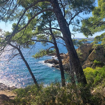 Evasion Nature A Cap Esterel Jardin, Mer & Golf Tout Confort Saint-Raphaël Екстериор снимка