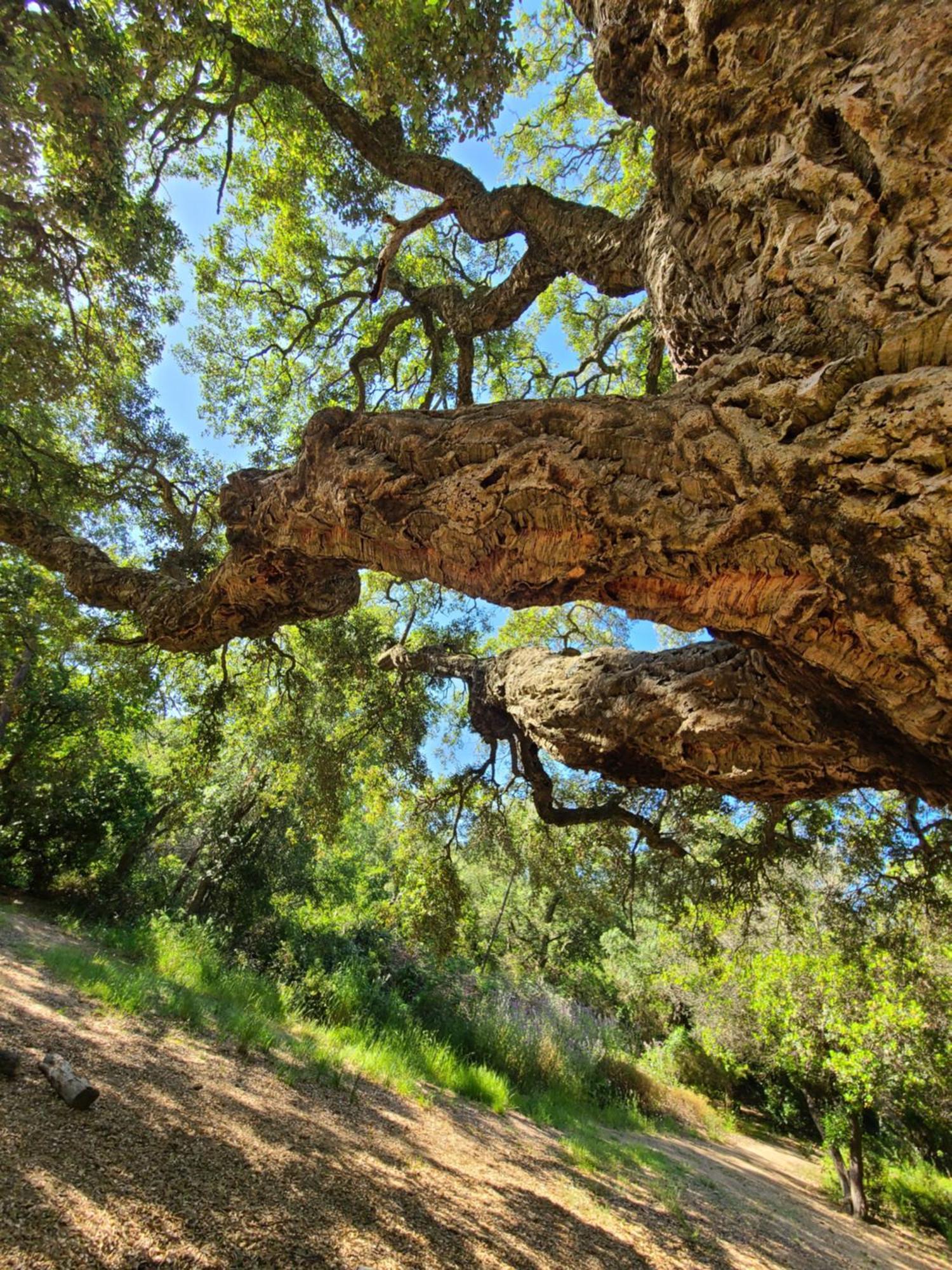 Evasion Nature A Cap Esterel Jardin, Mer & Golf Tout Confort Saint-Raphaël Екстериор снимка
