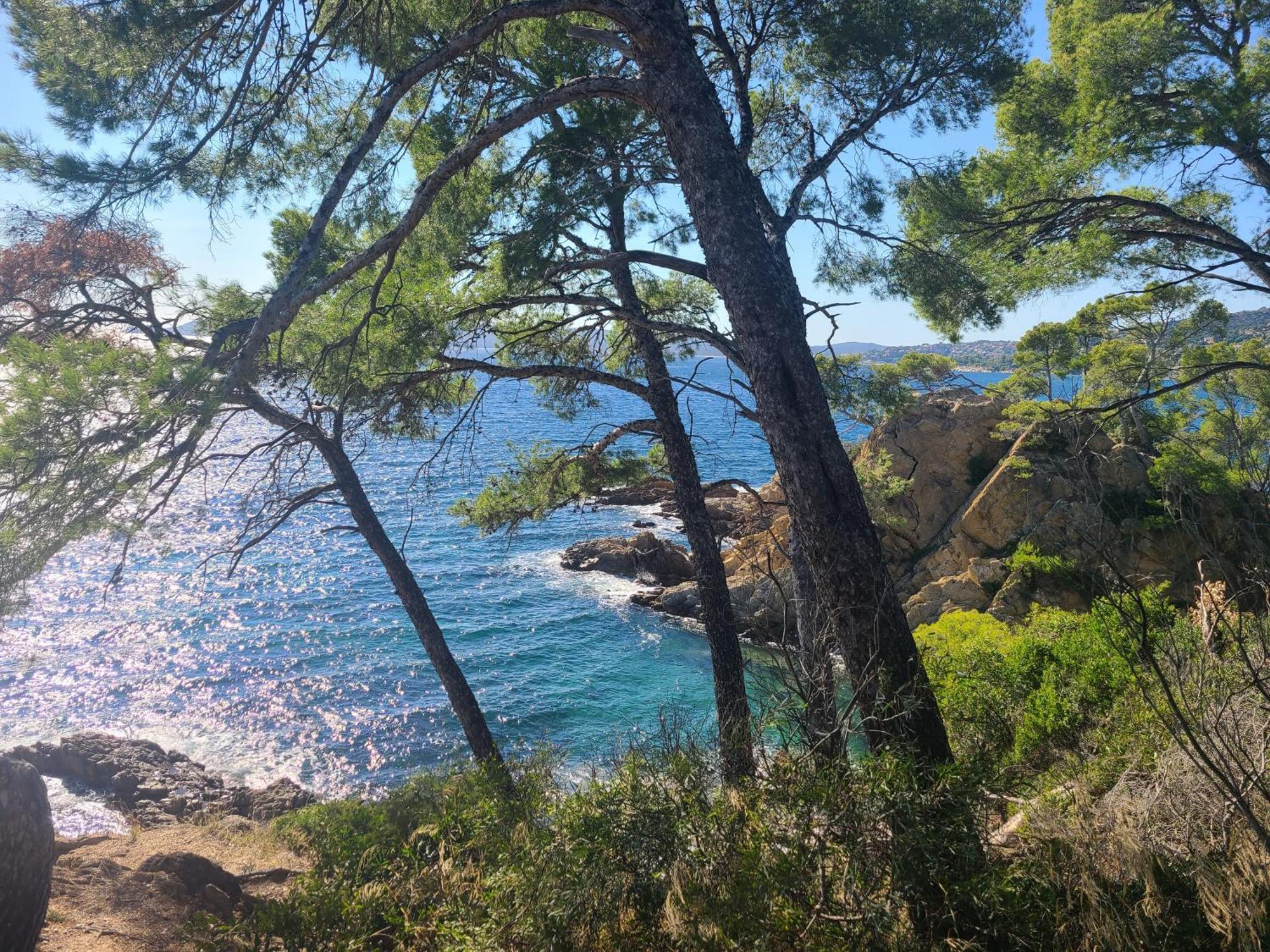Evasion Nature A Cap Esterel Jardin, Mer & Golf Tout Confort Saint-Raphaël Екстериор снимка