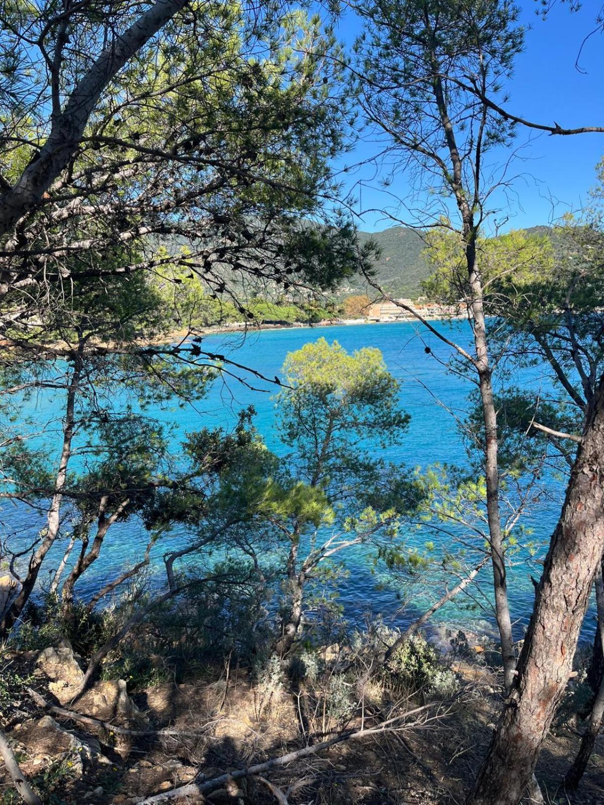 Evasion Nature A Cap Esterel Jardin, Mer & Golf Tout Confort Saint-Raphaël Екстериор снимка